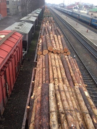 Фото новости: ВИДЕО: Украинские Карпаты вырубают ежедневно по 300 вагонов в день Свежие новости: ВИДЕО: Украинские Карпаты вырубают ежедневно по 300 вагонов в день