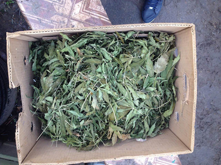 Свежие новости: Полицейские изъяли у жителя Витовского района наркотические вещества почти на 30 000 гривен