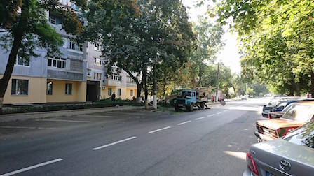 Свежие новости: В Николаеве продолжается санитарная обрезка деревьев