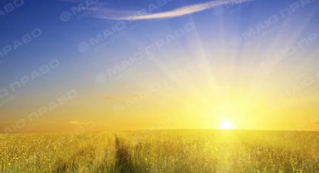 Свежие новости: Сегодня в Украине жарко и солнечно