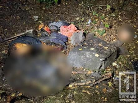 Свежие новости: В Кривом Роге в кустах обнаружили обезглавленное тело мужчины
