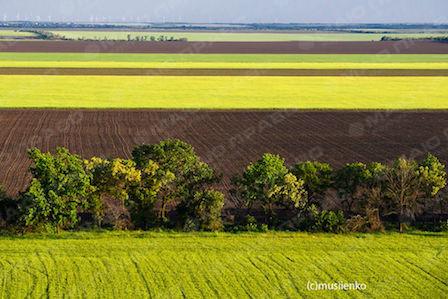 Свежие новости: Украинская красота: сети восхитило впечатляющее фото с Донбасса