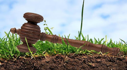 Свежие новости: Вознесенська міська рада Миколаївської області оголошує конкурс з відбору виконавця земельних торгів на конкурентних засадах