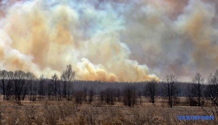 Свежие новости: Опубликовано фото и видео с места пожара в Чернобыльской зоне