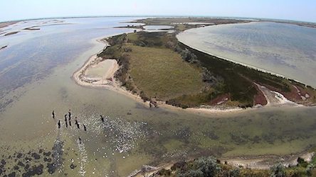 Свежие новости: Представники туристичного бізнесу Кінбурнської коси запрошуються на відкриту зустріч з податківцями в Очакові