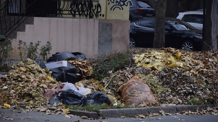 Свежие новости: Николаев завален мусором