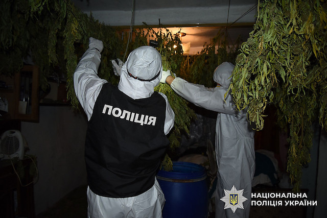 Свежие новости: На Київщині поліція ліквідувала наркоугруповання та вилучила наркотиків на понад 15 млн грн