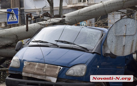 Свежие новости: В Николаеве рухнувшее дерево раздавило авто