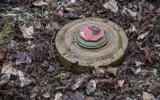 Свежие новости: На Миколаївщині чоловік підірвався на боєприпасі, коли збирав дрова