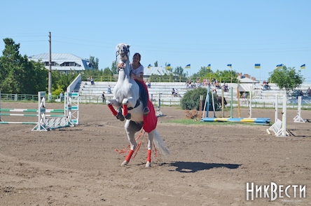 Свежие новости: В Николаеве ко Дню Независимости горожане наблюдали яркое конно-спортивное шоу
