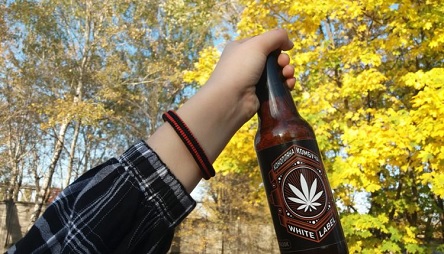 Свежие новости: В Украине в продаже скоро появится грибной напиток с коноплей