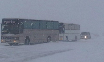 Свежие новости: В Николаевской области отменены все автобусные рейсы