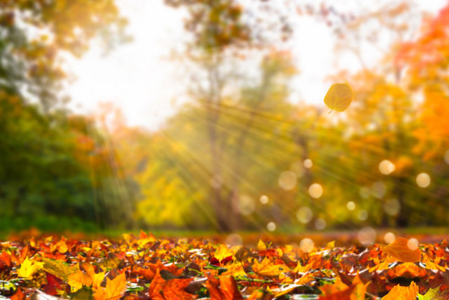 Свежие новости: Украинцев предупредили о резком похолодании и заморозках