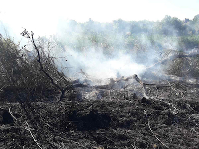 Свежие новости: В Николаевской области спасатели 12 раз тушили пожары