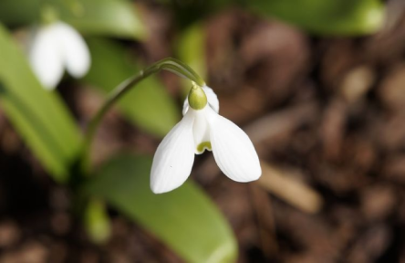 Свежие новости: В первый день тотальной изоляции Украина прогреется до +15 - синоптик