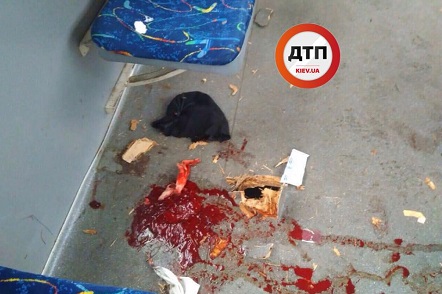 Свежие новости: В столичном трамвае кусок ходовой пробил пол и травмировал ногу пенсионерке