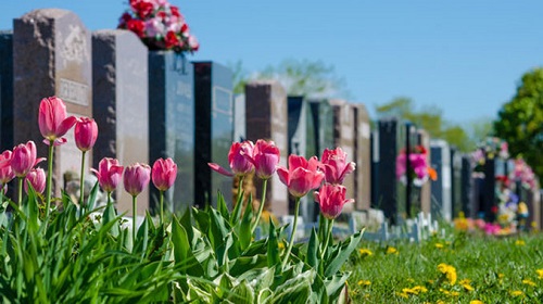 Свежие новости: С завтрашнего дня в Николаеве прекращают хоронить умерших, - директор ритуальной службы