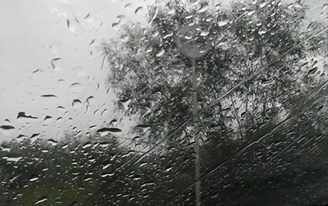 Свежие новости: В понедельник на большей части Украины похолодает и пройдут дожди