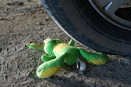 Свежие новости: Под Киевом сбили ребенка