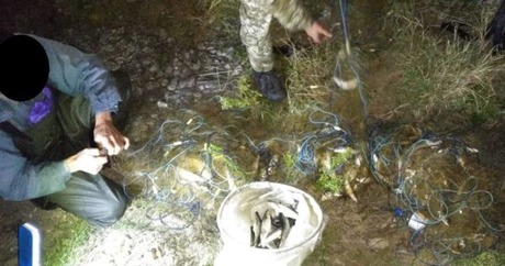 Свежие новости: На Николаевщине браконьер нанес 64 тыс. грн ущерба