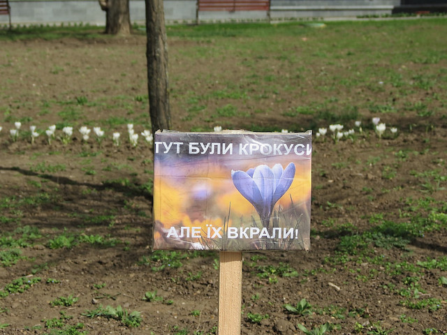 Свежие новости: У Миколаєві за пів року зафіксували понад 260 випадків вандалізму в парках