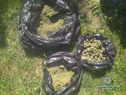 Свежие новости: В Вознесенске полицейские изъяли у 30-летнего мужчины около килограмма каннабиса