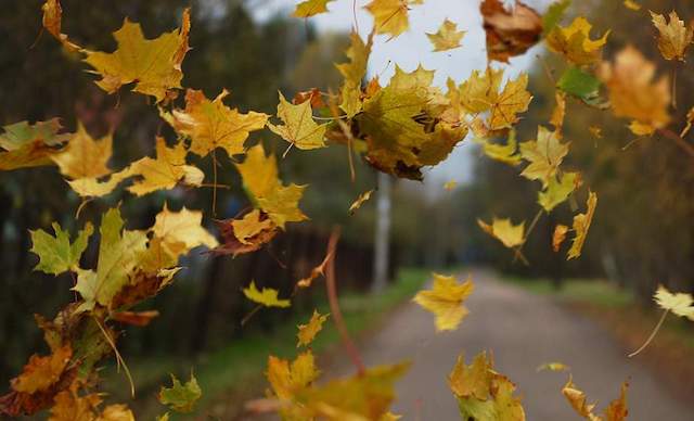Свежие новости: Тепло, ветрено и без существенных осадков: погода в Николаеве в воскресенье