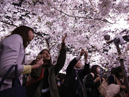 Свежие новости: Японский феномен: почему в стране не объявляют карантин и не вводят чрезвычайное положение?