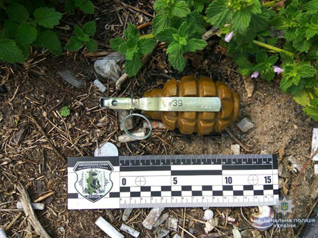 Свежие новости: Под Николаевом возле остановки найдена боевая граната Ф-1