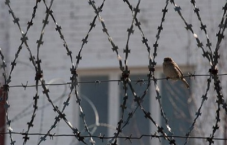 Свежие новости: В Арбузинской колонии повесился заключенный