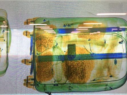 Свежие новости: Граждане Турции пытались нелегально вывезти украинский янтарь