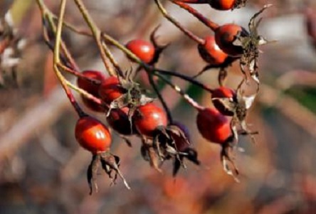 Свежие новости: Завтра в Украине без осадков, температура до +3