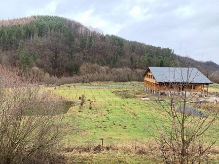Свежие новости: «Символ майдана» «козак» Гаврилюк построил огромный дом в Карпатах