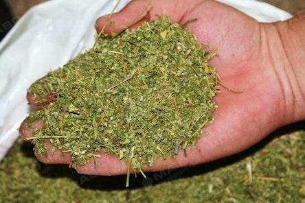 Свежие новости: Умешканця Єланецького району поліцейські вилучили наркотики