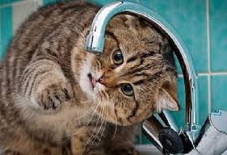 Свежие новости: В Рождество в Николаеве некоторые горожане остались без воды: адреса