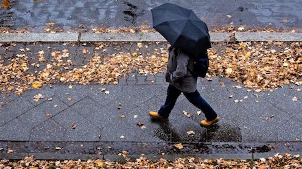 Свежие новости: В Николаеве в конце недели ожидаются дожди