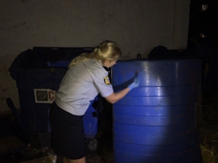 Свежие новости: 