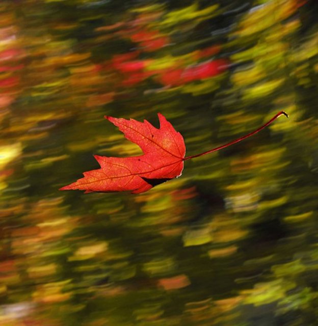Фото новости: В Николаеве ухудшится погода: синоптики обещают усиление ветра Свежие новости: В Николаеве ухудшится погода: синоптики обещают усиление ветра