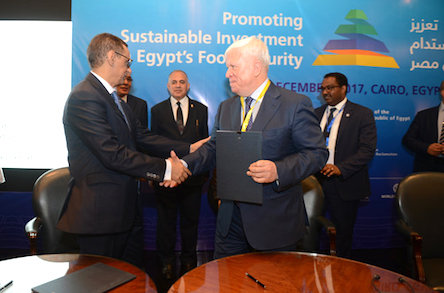 Свежие новости: 