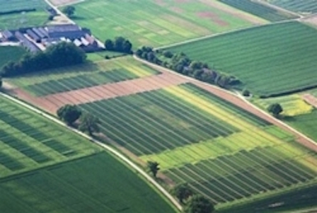 Свежие новости: Прокуратура нашла нарушения при использовании земель сельскохоз назначения в Новоодесском районе