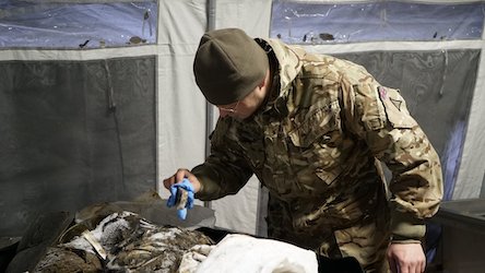 Свежие новости: ВІДЕО. росіяни знімають шеврони зі своїх загиблих, щоб не можна було ідентифікувати