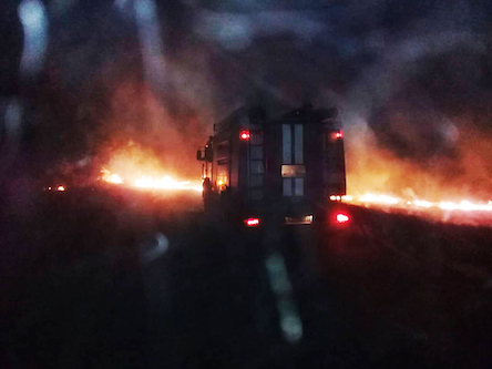 Свежие новости: Минулої доби на Миколаївщині горіла хвойна підстилка, сухостій та сміття