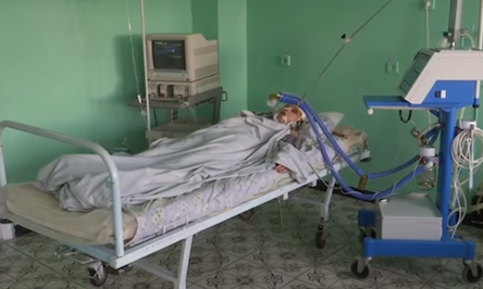 Свежие новости: Жестокое убийство друзьями школьницы на Житомирщине: всплыли новые подробности