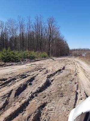 Свежие новости: 