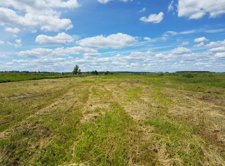 Свежие новости: Южноукраинский горсовет выкупит у местного жителя участок под расширение городского кладбища