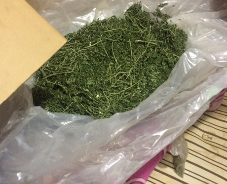 Свежие новости: Вознесенські поліцейські вилучили у місцевого мешканця 1,5 кг канабісу