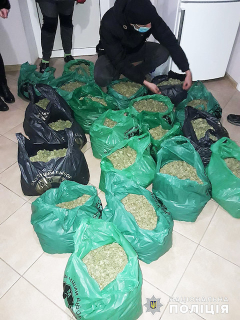 Фото новости: У пенсионера из Вознесенска полицейские изъяли каннабис на ₴1,2 миллиона Свежие новости: У пенсионера из Вознесенска полицейские изъяли каннабис на ₴1,2 миллиона