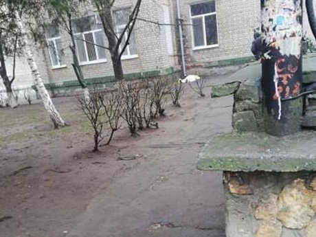 Свежие новости: Из окна херсонской больницы после общения с родственниками выбросился старик