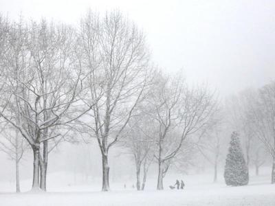 Свежие новости: В Николаевской области в понедельник выпадет снег