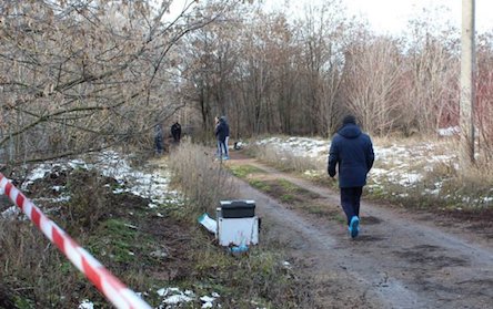 Свежие новости: Убийство 12-летней девочки в Кропивницком: матери сообщили о подозрении